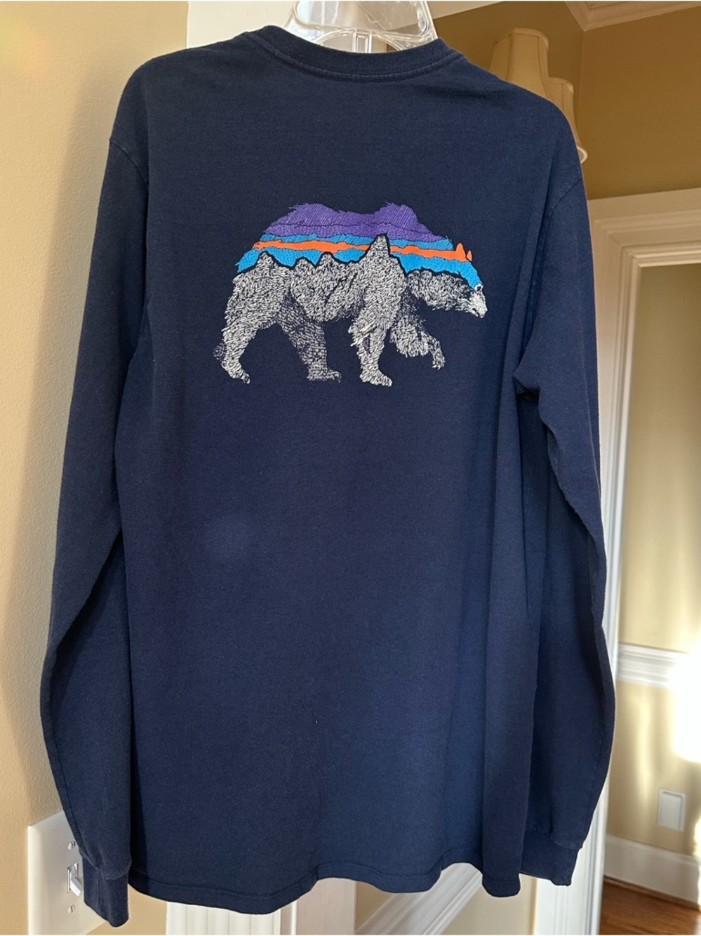 Patagonia men’s long sleeve tee